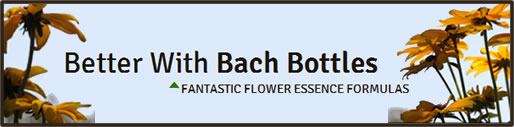 Better With Bach Membership Site